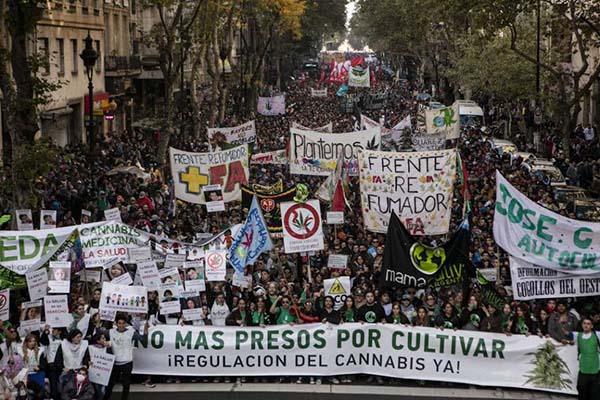 cannabis medicinal marcha