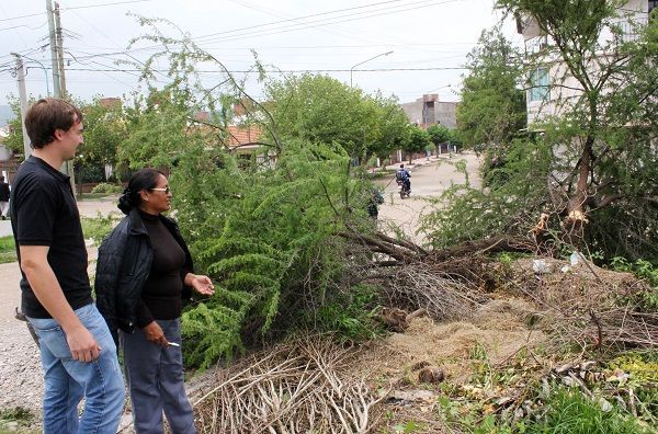 Juan Casasco Andrea Lamas administradora CPV chijra depredacion de arbolado publico