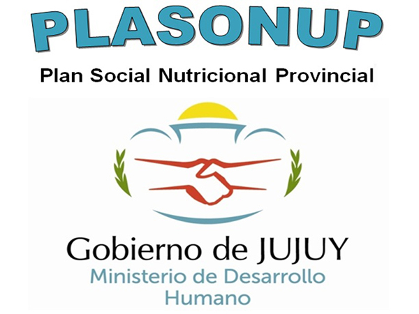 plasonup logo
