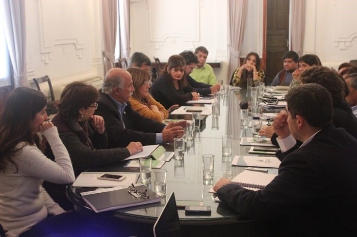 consejo discapacidad