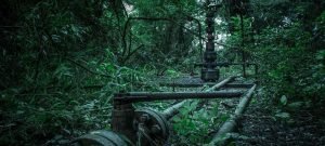 parque calilegua pozo caimancito