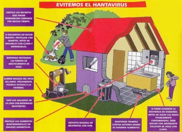 hantavirus prevencion