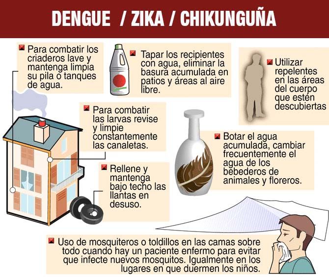 dengue zika chicunguna