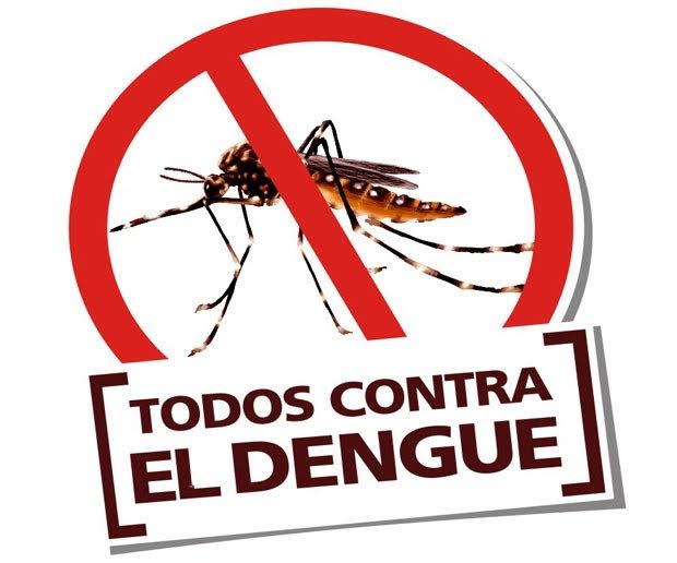 dengue00