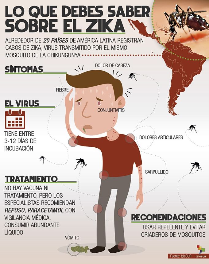 zika infografia telesur