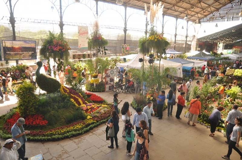 feria floricultura 01