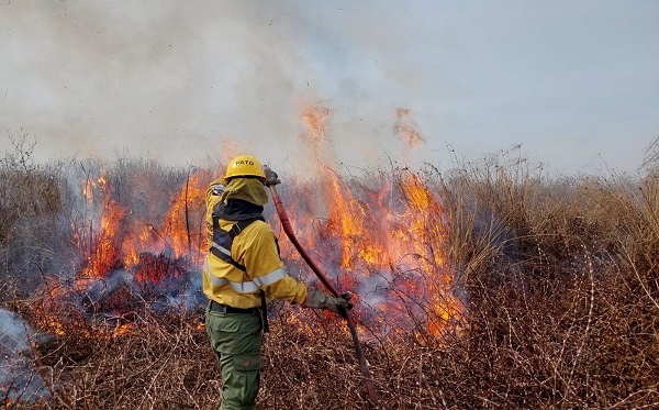Santa Fe: Amplían la denuncia penal por las quemas en el Delta del Paraná