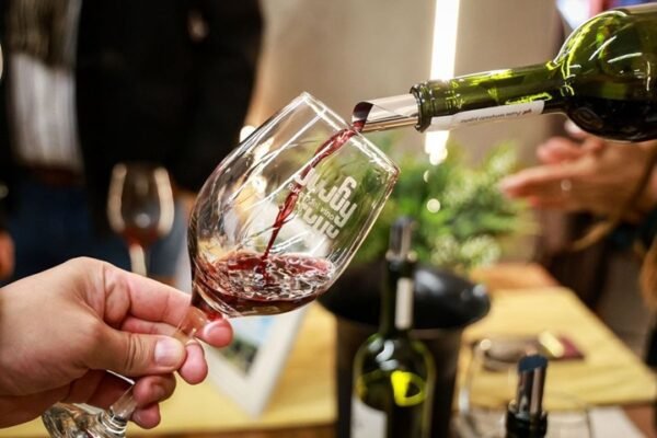 Jujuy impulsó su producción vitivinícola en la 2ª Feria de las Rutas del Vino